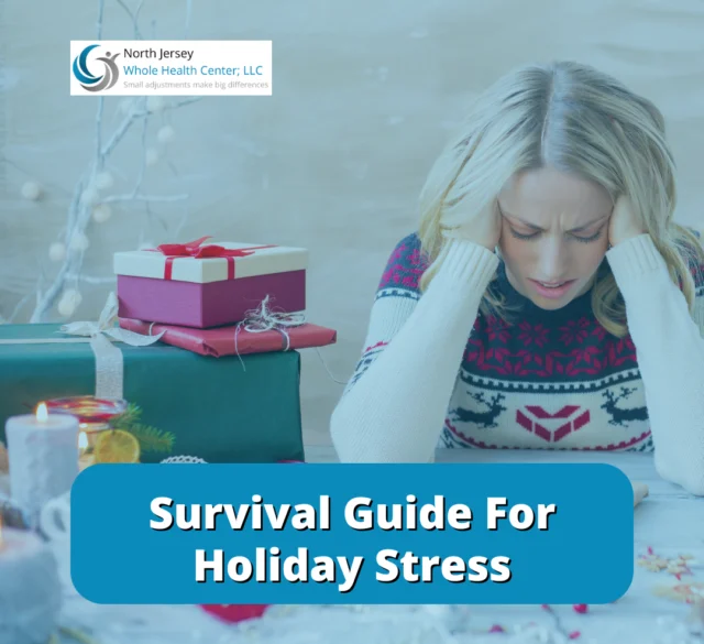 Survival Guide For Holiday Stress