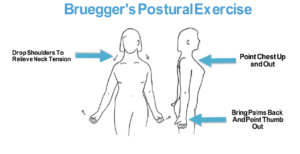 Bruegger Posture Exercise